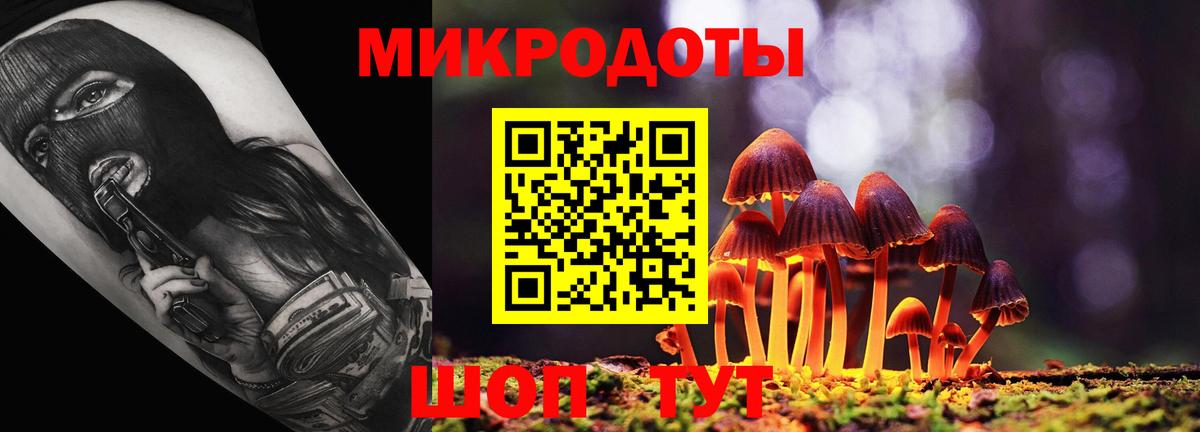 Псилоцибиновые грибы Cubensis Уварово